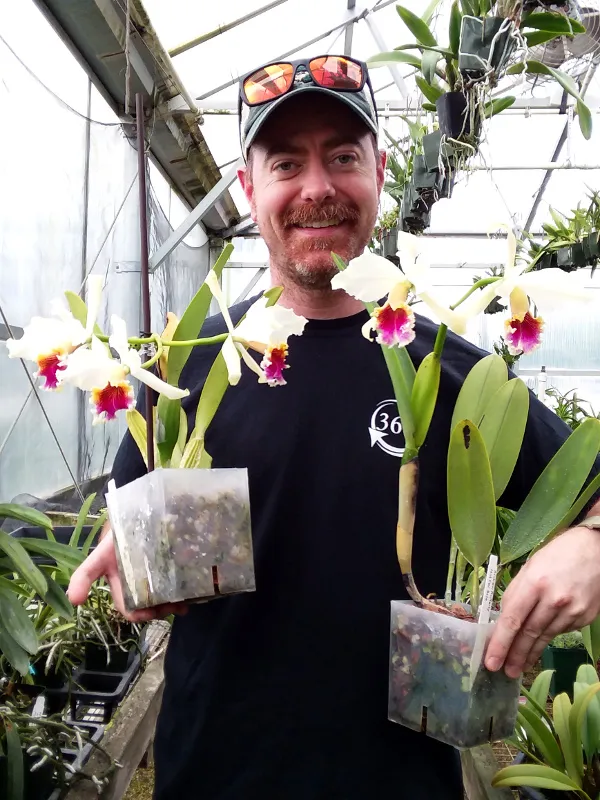 William Green holding 2 of his iconic Cattleya rex in bloom