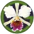 My Green Pets' Logo
