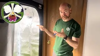 Plants featured in this video:
00:00 Clivia miniata
01:30 Cucurbita maxima 'Lumina'
01:43 Delosperma 'Granita Raspberry'
02:07 Phalaenopsis hybrids
04:32 Masdevallia Machu Picchu 'Crownpoint' AM/AOS
05:16 Miltoniopsis Lilian Nakamoto
05:22 Cuitlauzina pulchella
05:37 Brassias
06:12 Zygopetalum maculatum ssp. maculatum
07:09 Nepenthes (rajah × edwardsiana)
07:39 Nepenthes [bongso robusta × (densiflora × robcantleyi)]
09:34 Cycnoches Fire Embers 'Patience' AM/AOS
10:05 Cattleya trianae 'Cashen's' FCC/AOS
10:54 Clowesia Rebecca Northen 'Mikabi' AM/AOS
11:38 Clowesia Rebecca Northen 'Aurora'
12:32 Clowesia Rebecca Northen 'Grapefruit Pink'
13:09 Cycnoches Bronze Vixen
13:34 Phalaenopsis philippinensis
14:01 Amorphophallus konjac
14:50 Bulbophyllum lepidum

Special thanks to my camera operator!